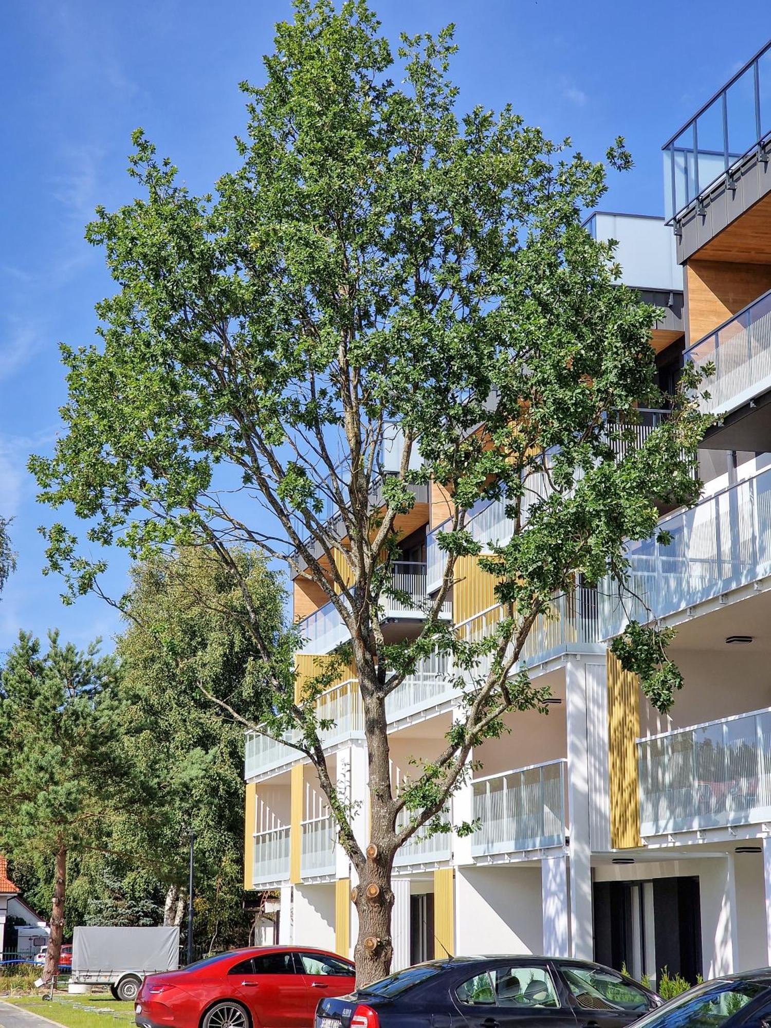 Posesja Apartamenty & Spa - Posesja Plazowa 4A II Grzybowo  Dış mekan fotoğraf